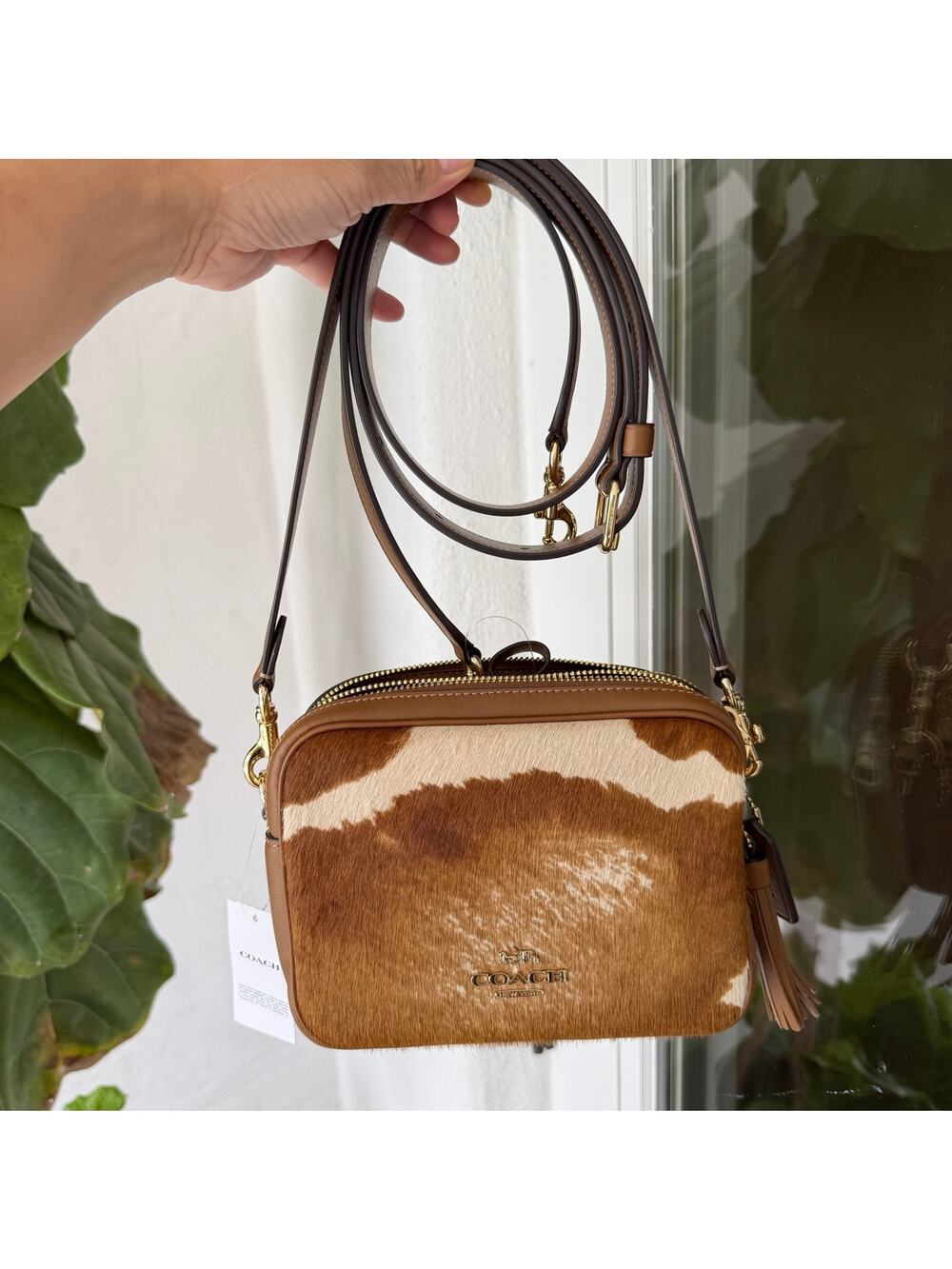 Coach Mini Carey Crossbody Bag In Haircalf With Cow Print CEK71 Gold/Cow Multi